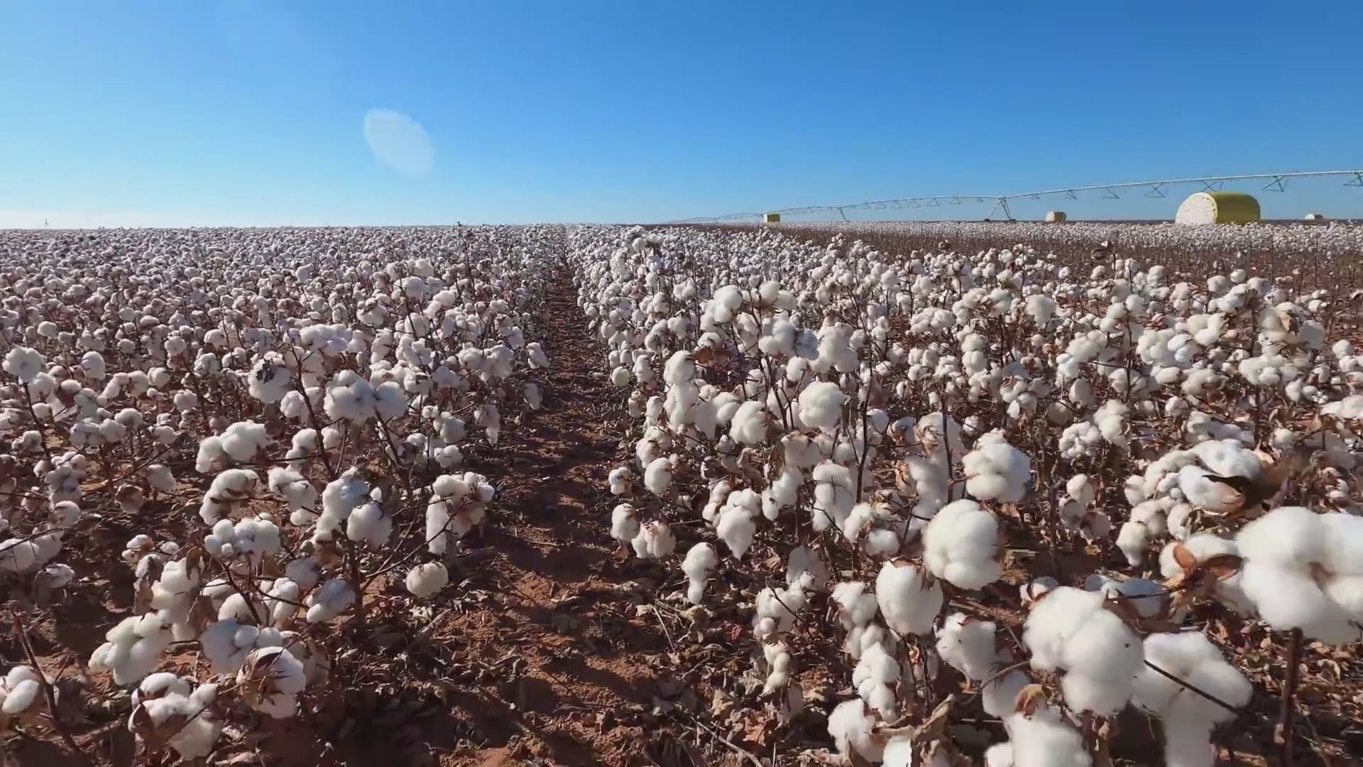 Translation missing: en.sections.video.load_video